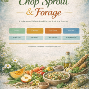 Chop, Sprout & Forage — Seasonal Whole-Food