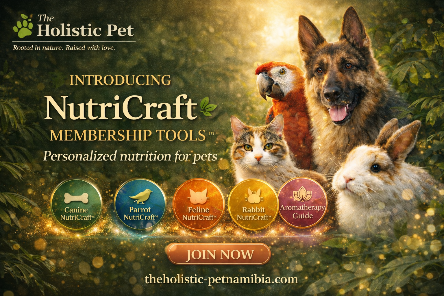 The Complete Guide to Holistic Pet Nutrition Tools.