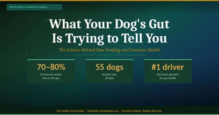 What Your Dog’s Gut Is Trying to Tell You