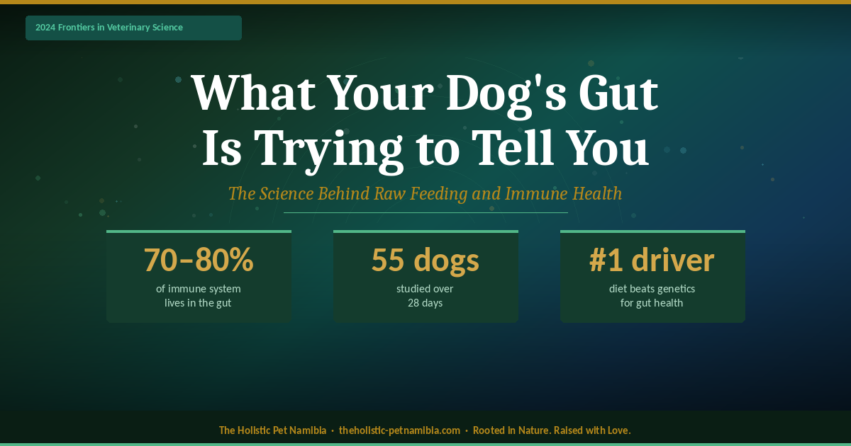 What Your Dog’s Gut Is Trying to Tell You